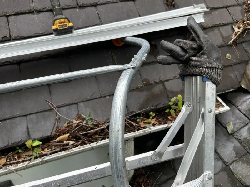 TM Global LLC's other services